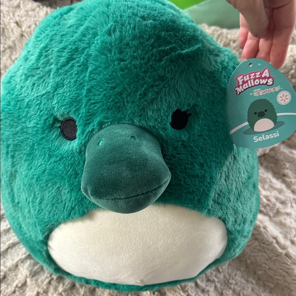 *NEW* Squishmallows Selassi Plush - Teal Green with Cream Belly